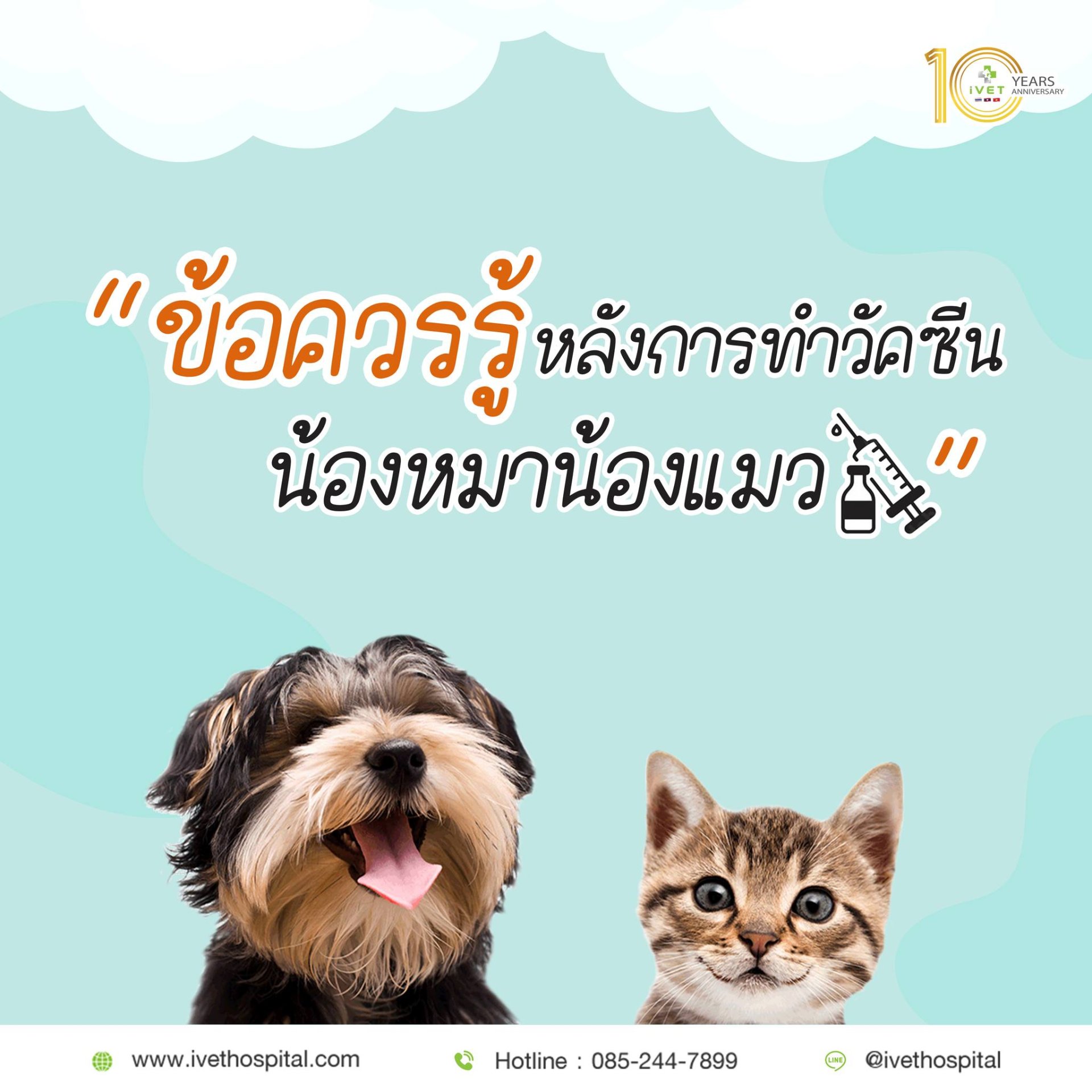 ข้อควรรู้หลังทำวัคซีนน้องหมาน้องแมว ข้อควรรู้หลังทำวัคซีนน้องหมาน้องแมว